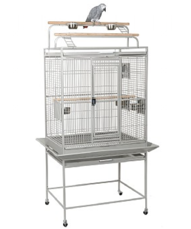 Bird cage with play hot sale gym